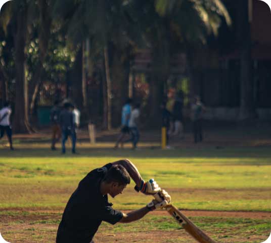 Cricket